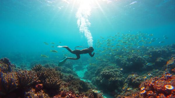 Top 5 raisons de vivre une expérience de plongée sous-marine